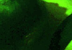 Sucking That Big Black Cock!