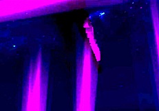 petite hottie gets quickie blowjob and creampie from big cock