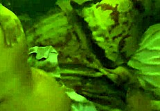 retro milf bent over doggystyle with big ass pussy