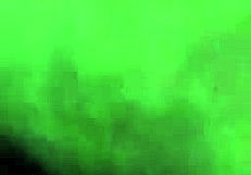 eating white girl's pussy with interracial licking and cunilingus