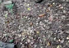 Me Culeo a Mi Primastra en la Finca de Mis Abuelos le Lleno la Panoche de Leche