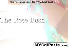 i strip off my stockins as queen kayla jane danger