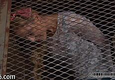 Beautiful Woman Receives Playful Teasing In A Descriptive Scene