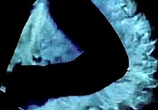 My Secret Life Everything Has Changed