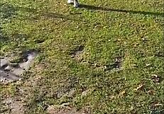 want to fuck this prostitute in the river?