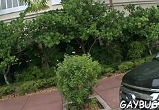 homosexual tumblr sex vibes