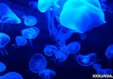 Tell Me a Secret That Makes Me Very Wet