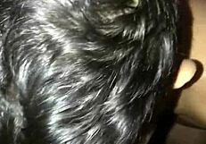 o muleque do meu bairro veio de madrugada na minha garagem pra conversar