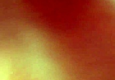 this horny slut begs for cum in her mouth while sucking and getting a handjob on her boobs