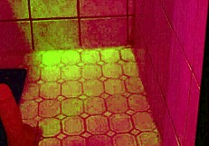 ebony goddess gaia monroe bathes alone in the shower with big tits