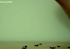 Ms Dom Crushes Shrunken Fleas with High Arched Feet in Garage