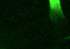 Juicy Pussy Takes Big Black Cock