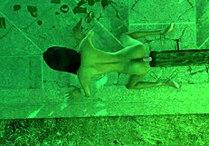 i'm playing with holly's dildo in fallout 4, it's so cute and anal outdoors with toys