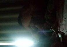 Novinha gostosa, what are you doing with that cock?