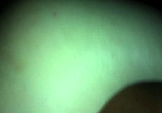 Want funfuck with jackemjacks? gay cock action.