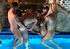 Yo, guys, ready for a wild interracial orgy in the sauna?