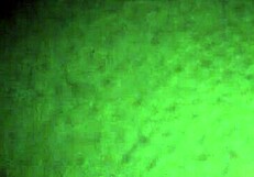 Wow! She Takes That Long Fat Cock Head Deep in Her Mouth!