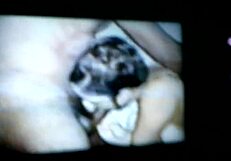 mexican milf passionately sucks big black cock with sloppy blowjob