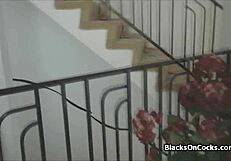 Ebony GF Gives INTENSE Anniversary BLOWJOB in Lingerie