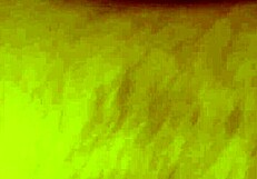 Funny pov webcam sex with stockings blowjob and cum