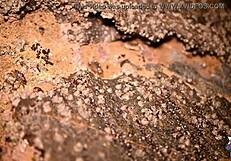 that african teen masturbates to orgasm on beach