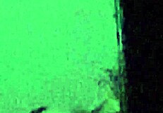 Spying On Horny Wife With Small Tits Taking Pics For Husband To Fuck Her Pussy And Ass