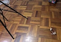 Bastidores Da Gravação Com Anônzinha Do Mau E Pitoco Putaria E Diversão Na Mattos Movies