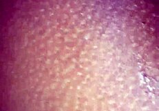 cogiendo a mi esposa con anal y pussy