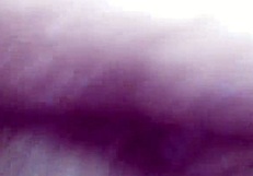 Bold Slut Wife Playing With Pussy In Intense Action