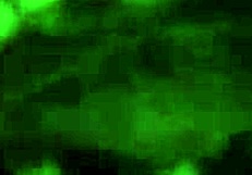 Latina couple enjoys sucking on a big candy cane together