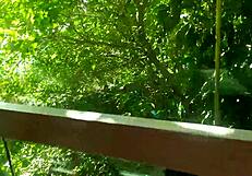 I filmed the milf lady getting assfucked in the labyrinth with fans.