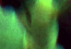 Zorra gets wild at a holiday party, confessing bad behavior while banging a young lover. The affair heats up fast.