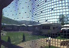 Outstanding big booty gets fucked with clothes ripped