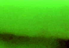 Top Homosexual Porn Stars Sucking and Fucking