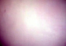 i cummed in her ass n mouth, the whore.