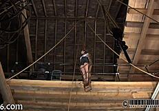 Amateurs Engage in Sadomasochism Activities