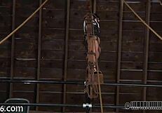 Amateurs Engage in Sadomasochism Activities