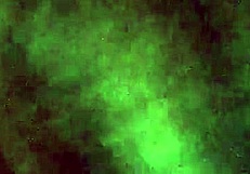 Blonde Twin Better Than Her Sister