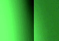 Shemale Moans and Screams During Intense Doggy Style Ass Fucking