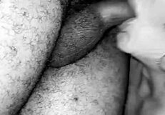 शीमेल नोयर मॉन्स्टर ब्लैक लंड से जोरदार डोमिनेशन