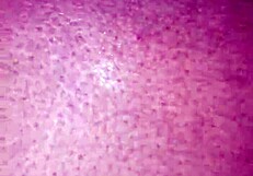 slow fucking ebony pussy wet black hardcore