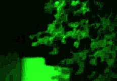 Jealous stepbrother does the unthinkable roughly