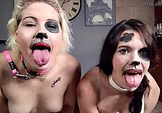 Look at these two puppy slaves panting and drooling with tongues out