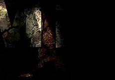 Old vintage pornography from the past