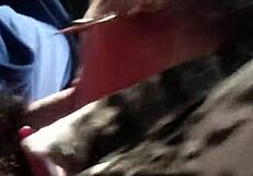 Brazilian Shemale Enjoys Oral Quickie In The Car