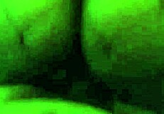 Ebony rides in cowgirl position.