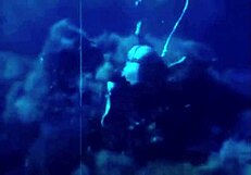 Vintage photography captures hairy Asian women in raw interracial scenes