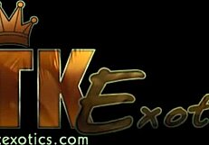 Classy Babe Fingers Juicy Pussy