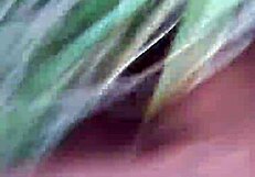 गैस स्टेशन