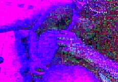 Shellyseth and smarien75 alternate cumming on fat asses